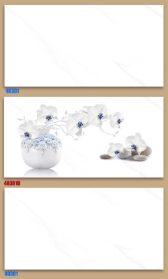 Gạch World Tiles 40x80 40301 