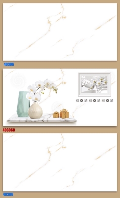 Gạch World Tiles 40x80 40306
