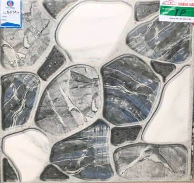 Gạch Viglacera 50x50 SH 513