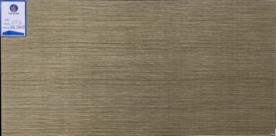 Gạch Viglacera 30x60 SQ 3608