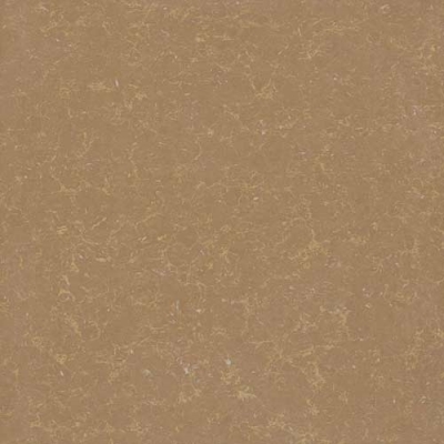 Gạch Viglacera 80x80 TS2 810