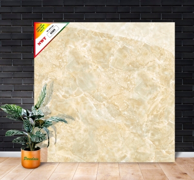 Gạch World Tiles NWT W6809