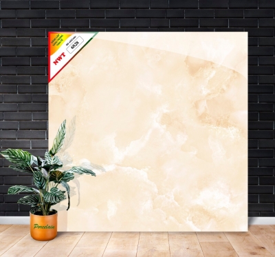 Gạch World Tiles NWT W6828