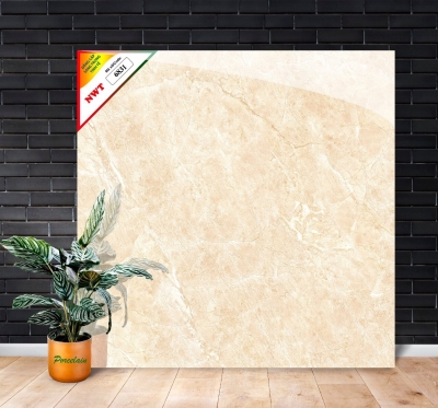 Gạch World Tiles NWT W6831
