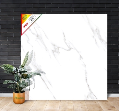 Gạch World Tiles NWT W6834