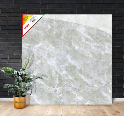 Gạch World Tiles NWT W6835