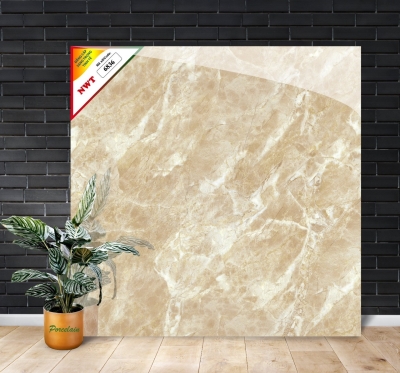 Gạch World Tiles NWT W6836