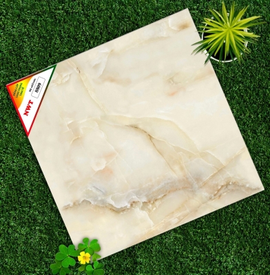 Gạch World Tiles NWT W8809