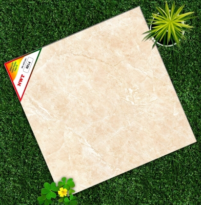 Gạch World Tiles NWT W8814