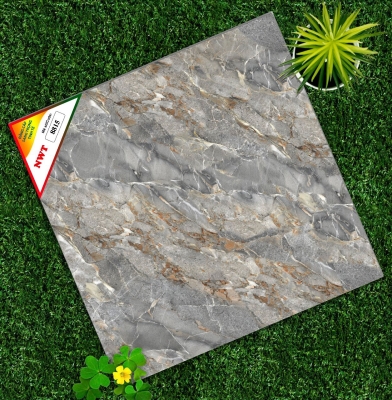 Gạch World Tiles NWT W8815