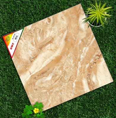 Gạch World Tiles NWT W8816