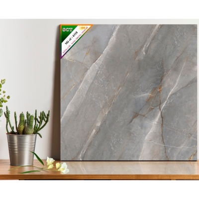 Gạch World Tiles SCT 6318
